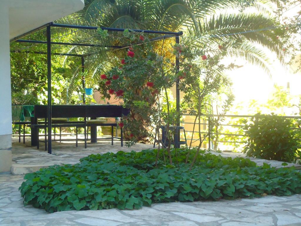 Apartments Villa Petranovic Budva Bagian luar foto