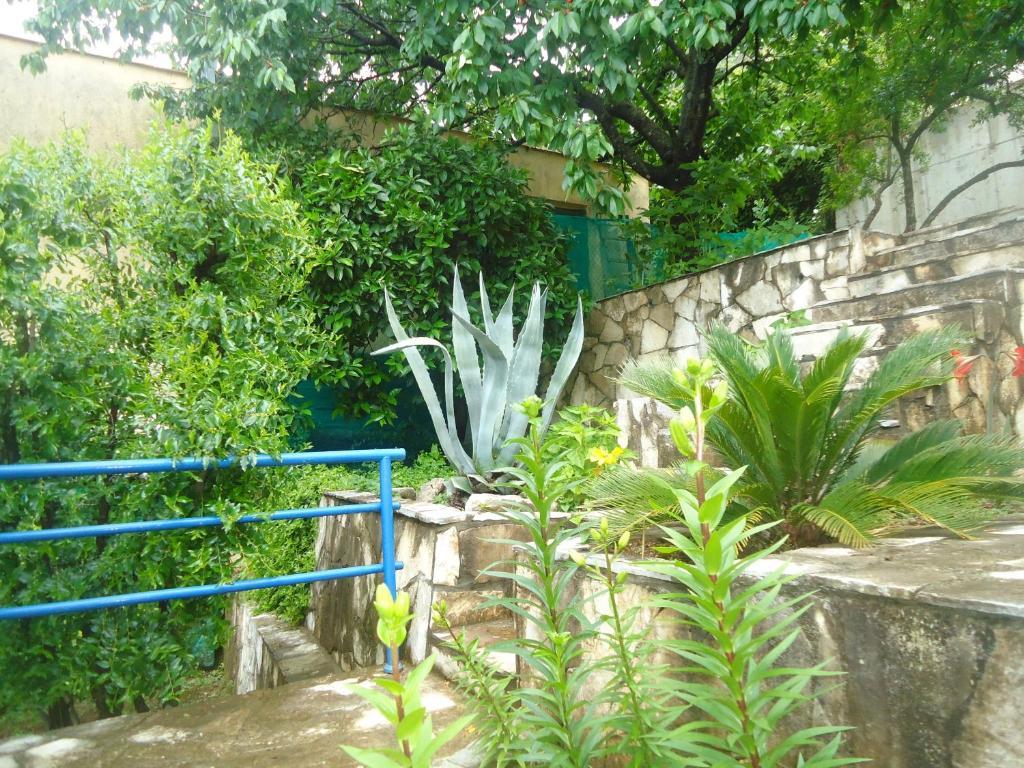 Apartments Villa Petranovic Budva Ruang foto