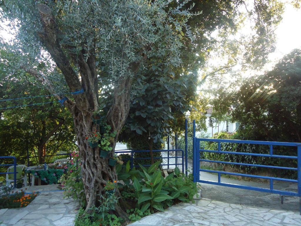 Apartments Villa Petranovic Budva Bagian luar foto