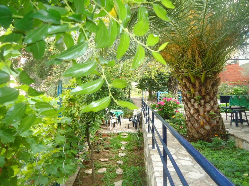 Apartments Villa Petranovic Budva Ruang foto